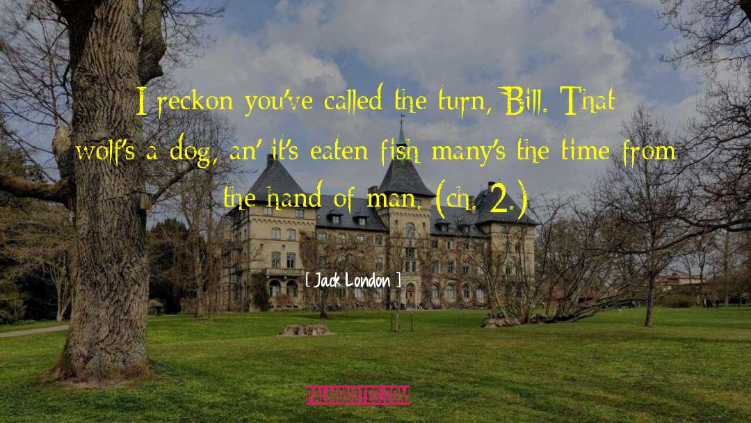 Wolfs quotes by Jack London