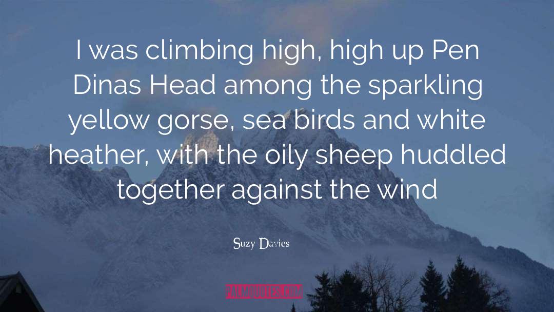 Wolves Among Sheep quotes by Suzy Davies