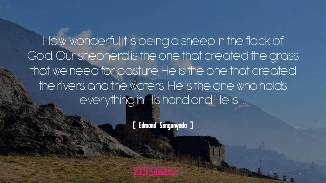 Wolves And Sheep quotes by Edmond Sanganyado