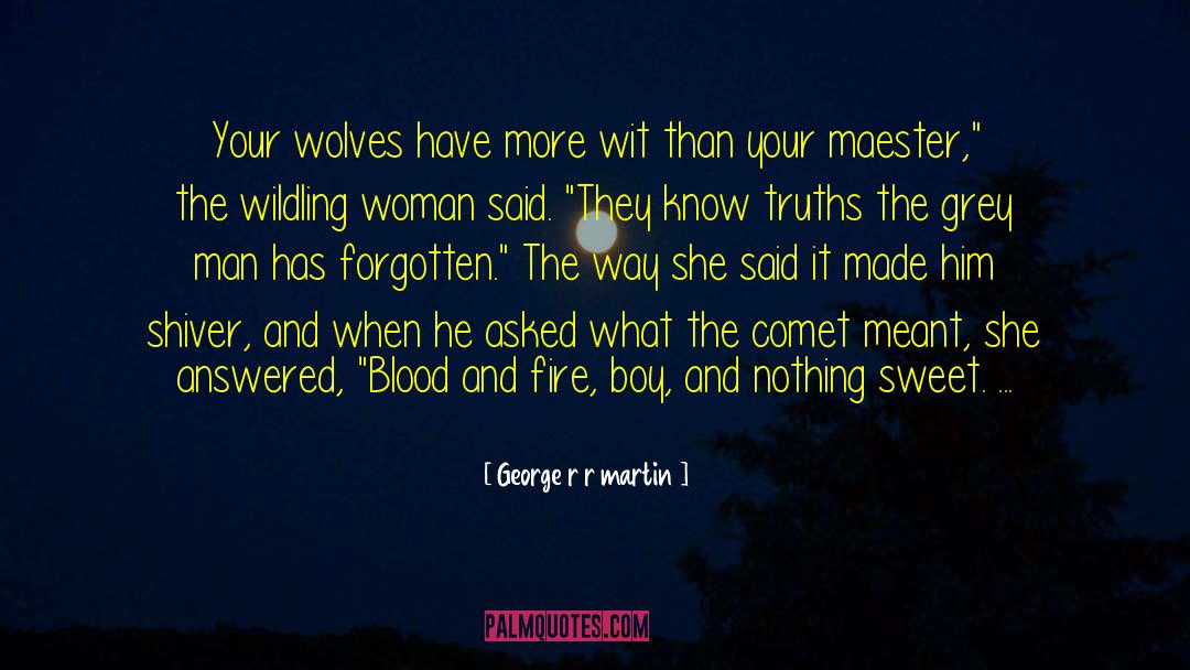 Wolves Of Mercy Falls quotes by George R R Martin