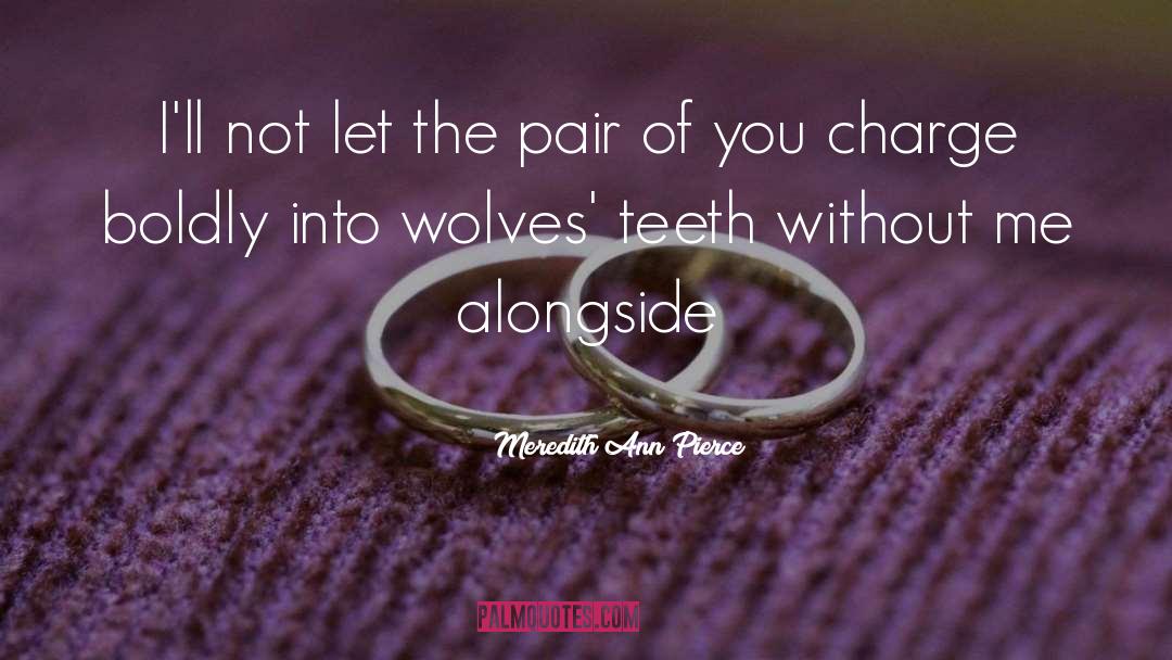 Wolves quotes by Meredith Ann Pierce