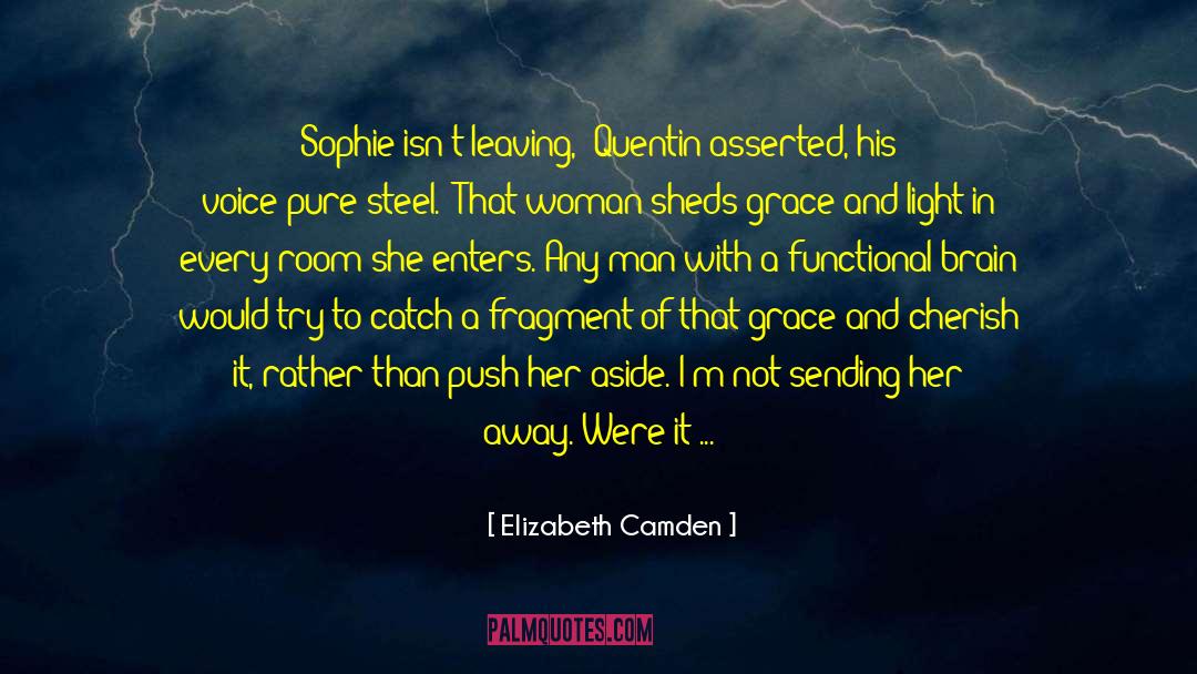 Woman In Charge quotes by Elizabeth Camden