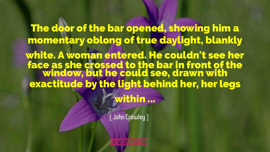Woman Without Curves quotes by John Crowley