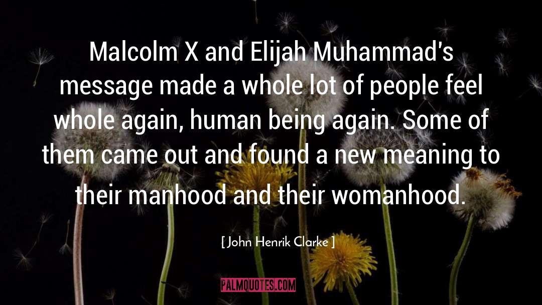 Womanhood quotes by John Henrik Clarke
