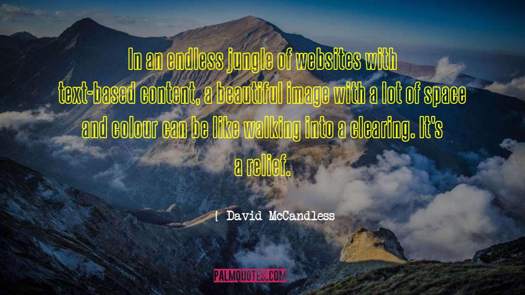 Womans Image quotes by David McCandless