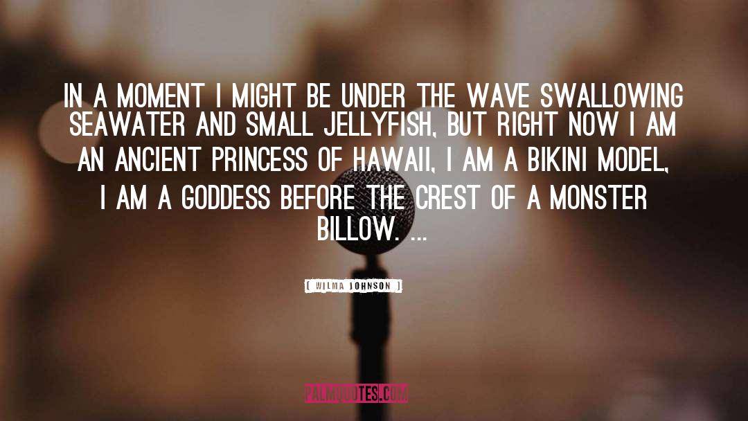 Women Surfers quotes by Wilma Johnson