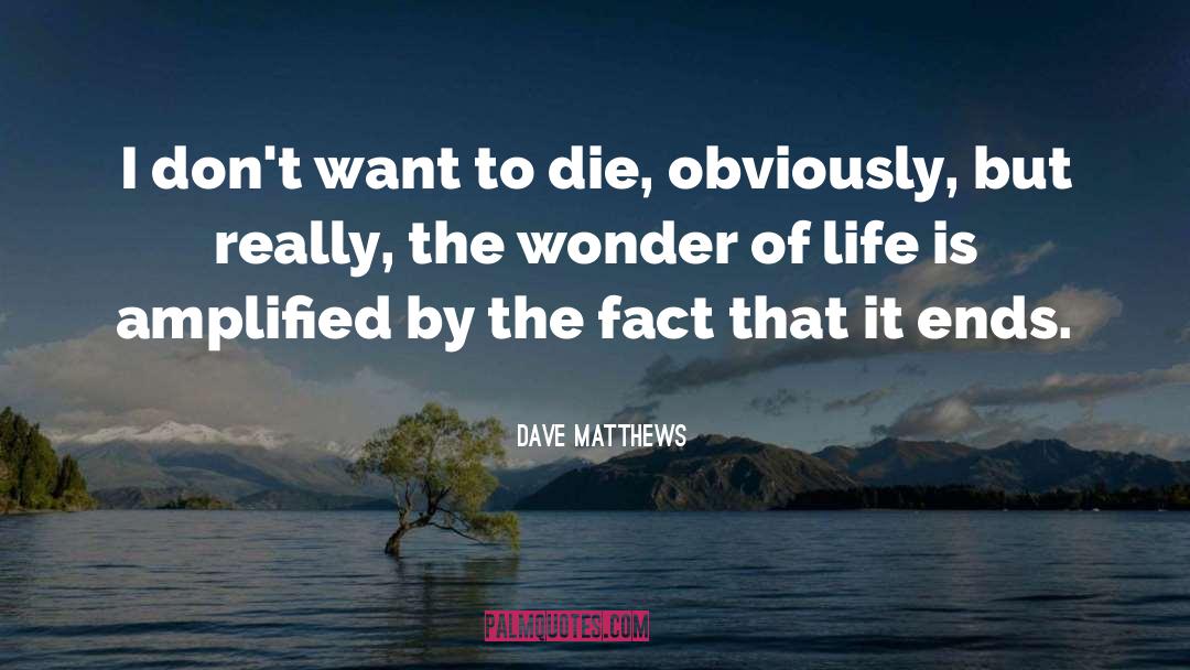 Wonder Of Life quotes by Dave Matthews