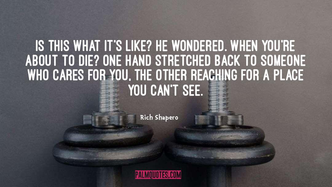 Wondered quotes by Rich Shapero