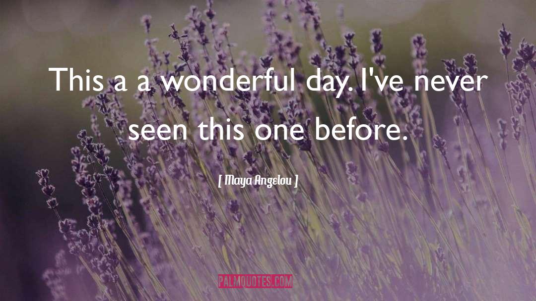 Wonderful Day quotes by Maya Angelou