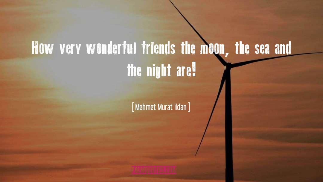 Wonderful Friends quotes by Mehmet Murat Ildan