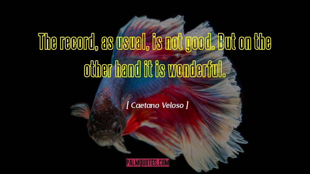 Wonderful Husbands quotes by Caetano Veloso
