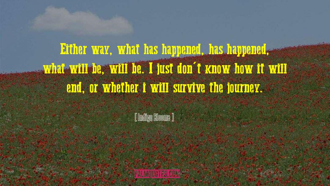 Wonderful Journey quotes by Indigo Bloome