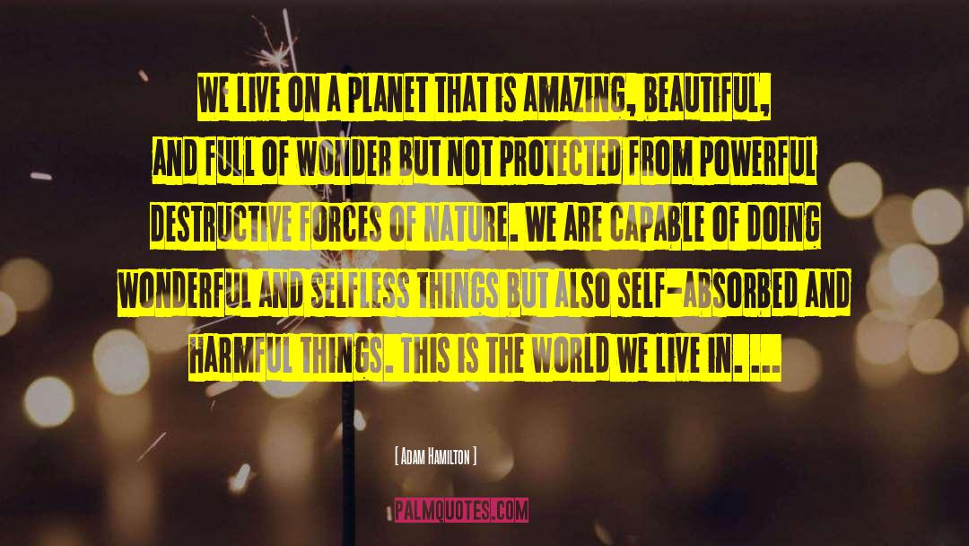 Wonderful Lady quotes by Adam Hamilton