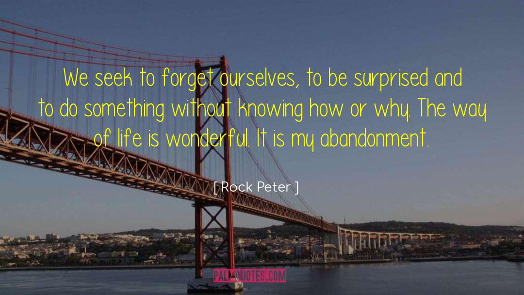 Wonderful Lady quotes by Rock Peter