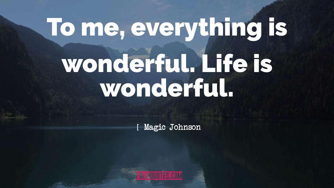 Wonderful Life quotes by Magic Johnson