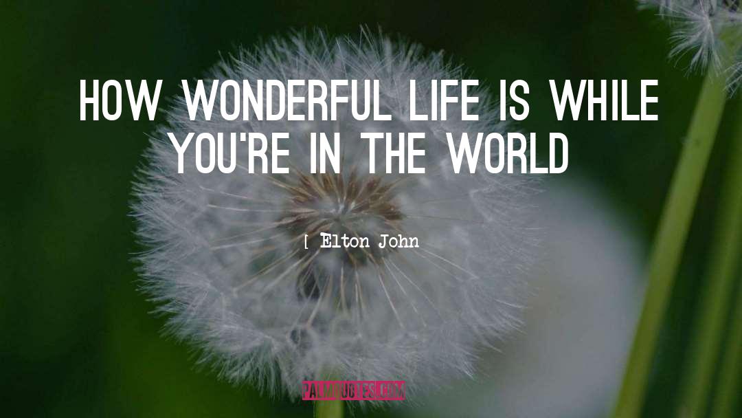 Wonderful Life quotes by Elton John