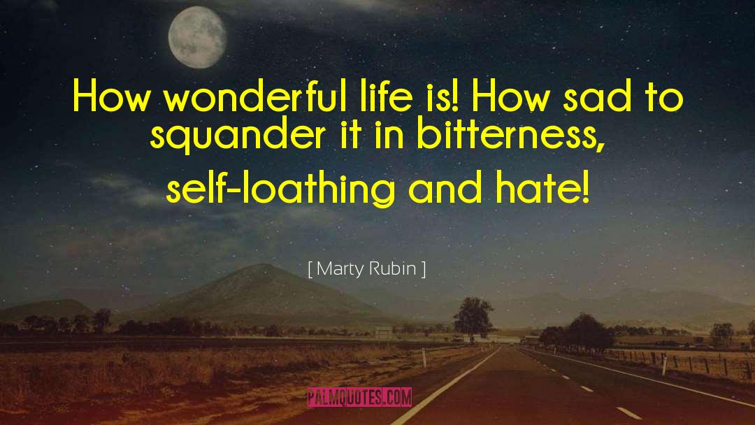 Wonderful Life quotes by Marty Rubin