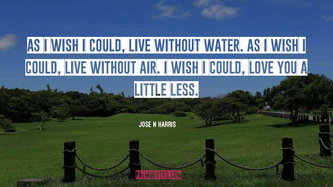 Wonderful Love quotes by Jose N Harris