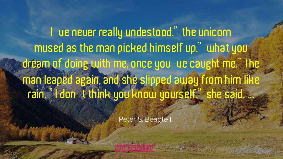 Wonderful Man quotes by Peter S. Beagle