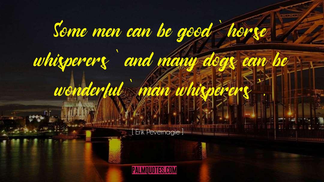 Wonderful Man quotes by Erik Pevernagie