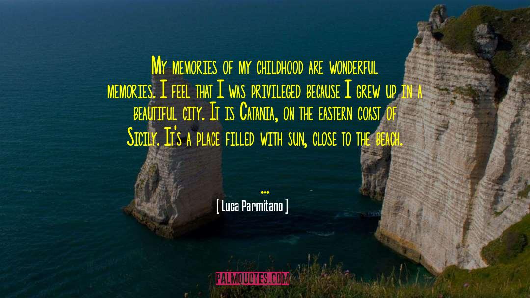 Wonderful Memories quotes by Luca Parmitano