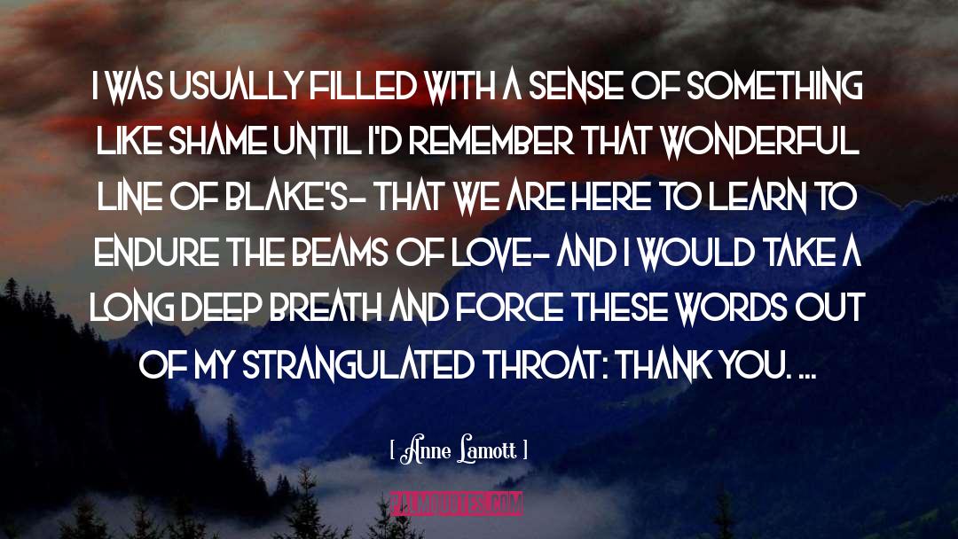 Wonderful Memories quotes by Anne Lamott