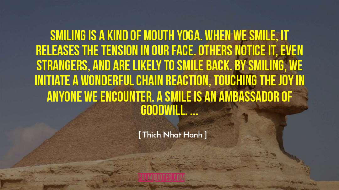 Wonderful Moments quotes by Thich Nhat Hanh