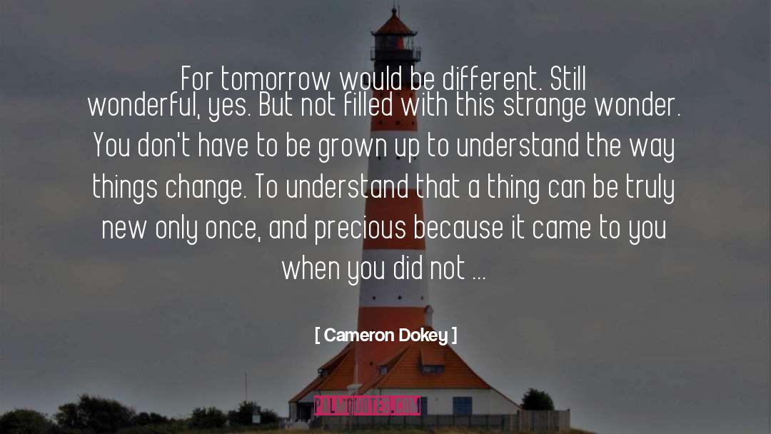 Wonderful Morning quotes by Cameron Dokey