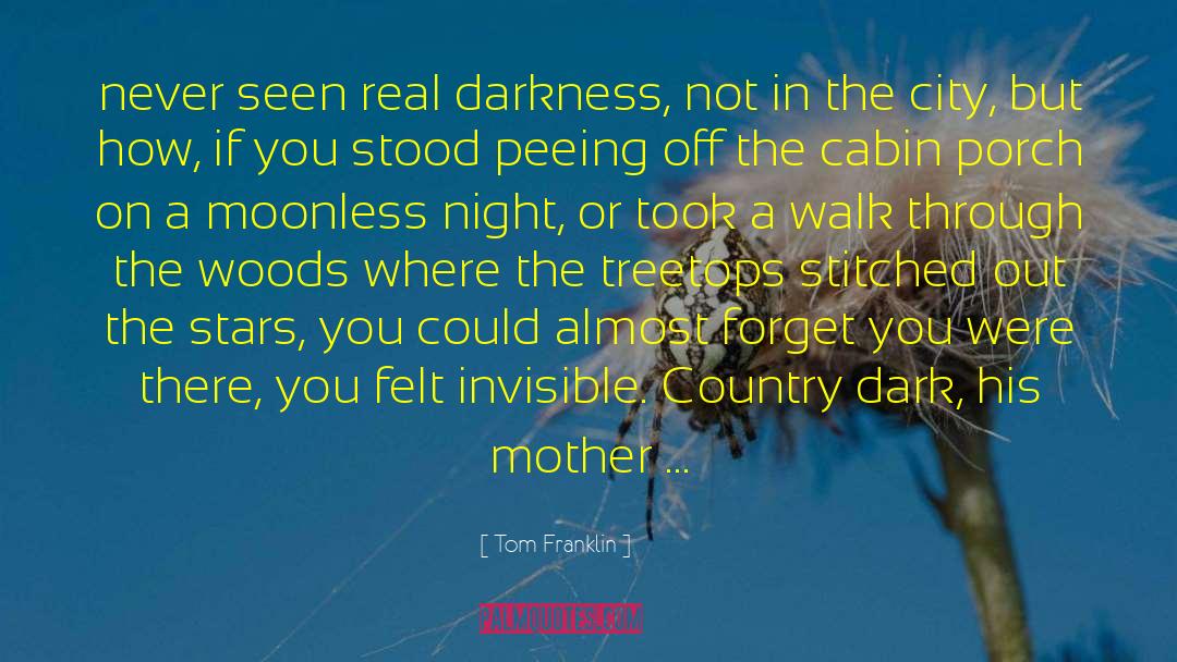 Wonderful Night quotes by Tom Franklin