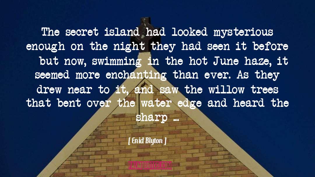 Wonderful Night quotes by Enid Blyton