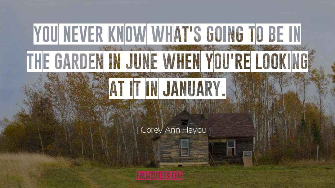Wonderful Time quotes by Corey Ann Haydu