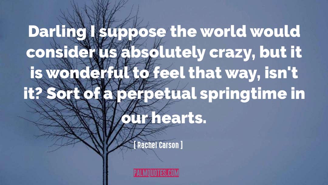 Wonderful Times quotes by Rachel Carson