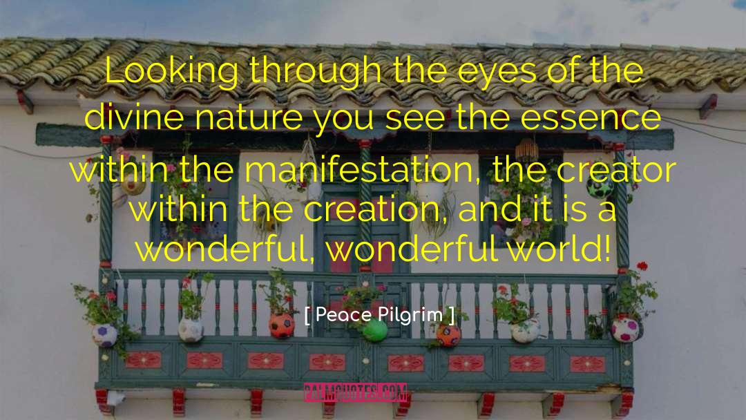 Wonderful World quotes by Peace Pilgrim