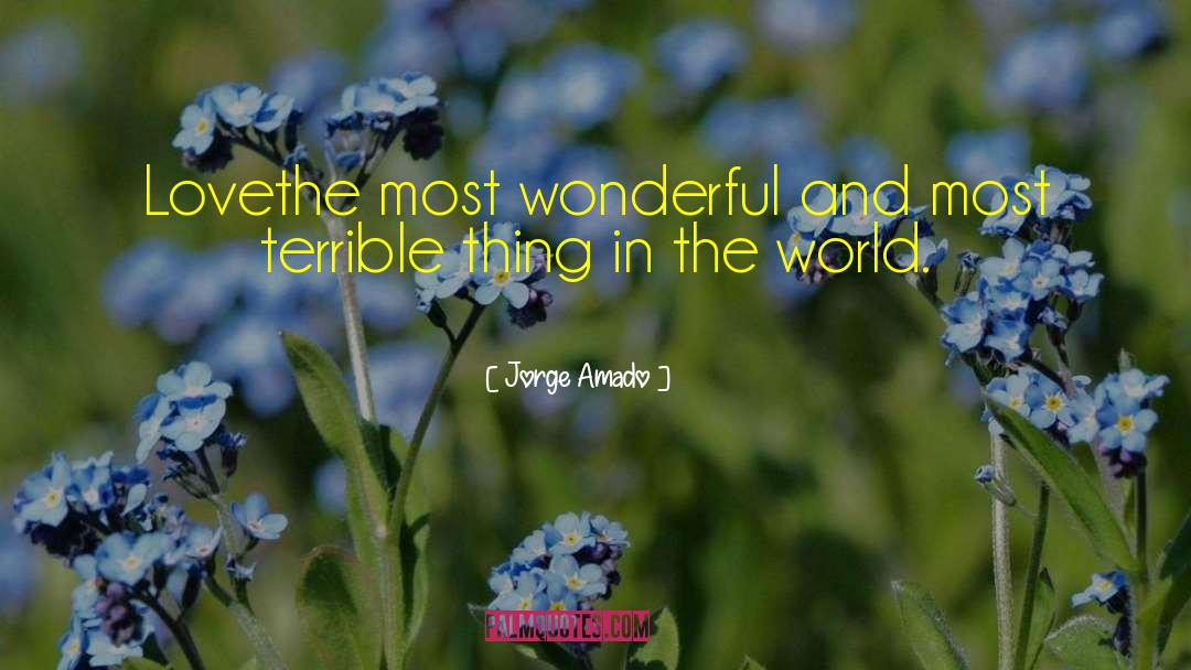 Wonderful World quotes by Jorge Amado