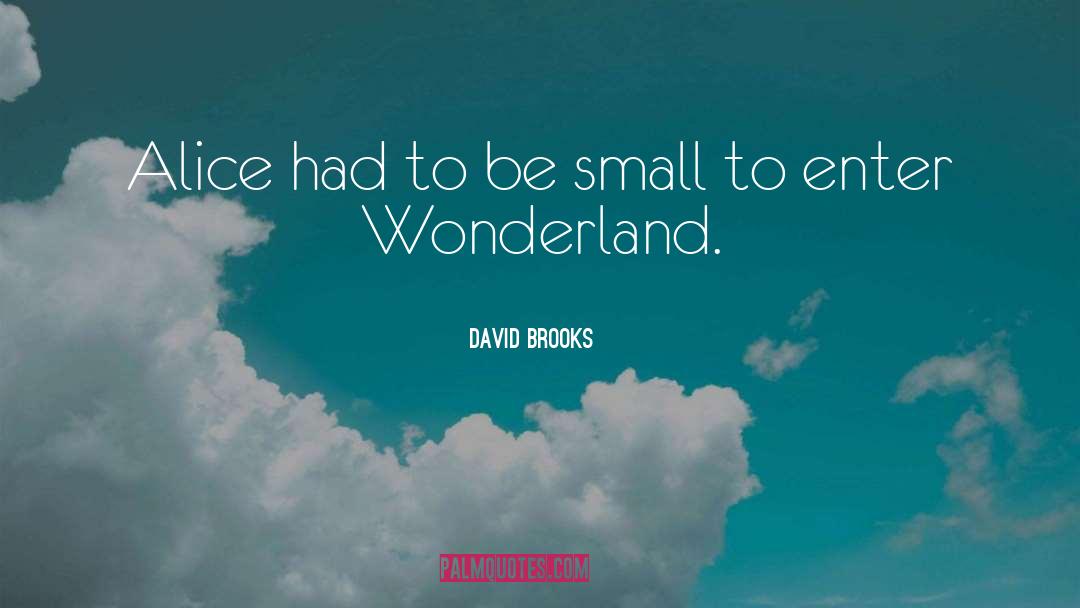 Wonderland quotes by David Brooks