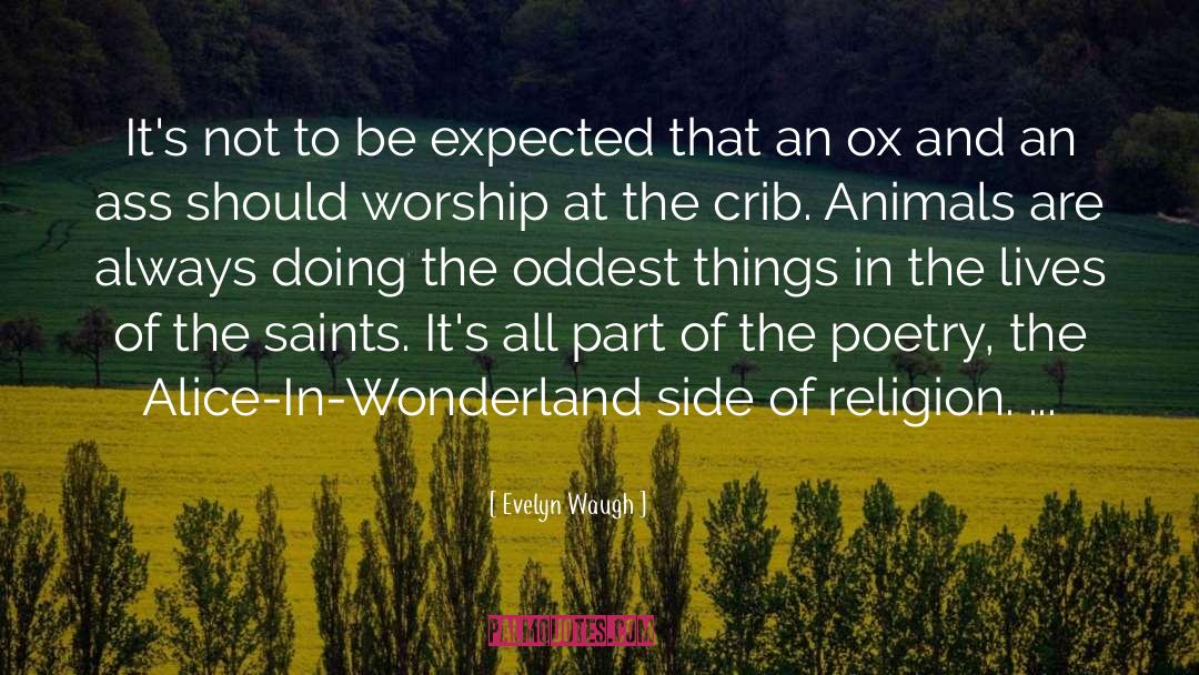 Wonderland quotes by Evelyn Waugh