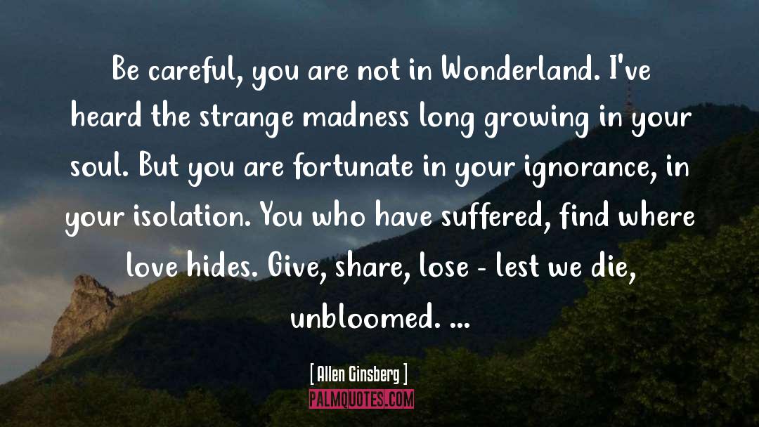 Wonderland quotes by Allen Ginsberg