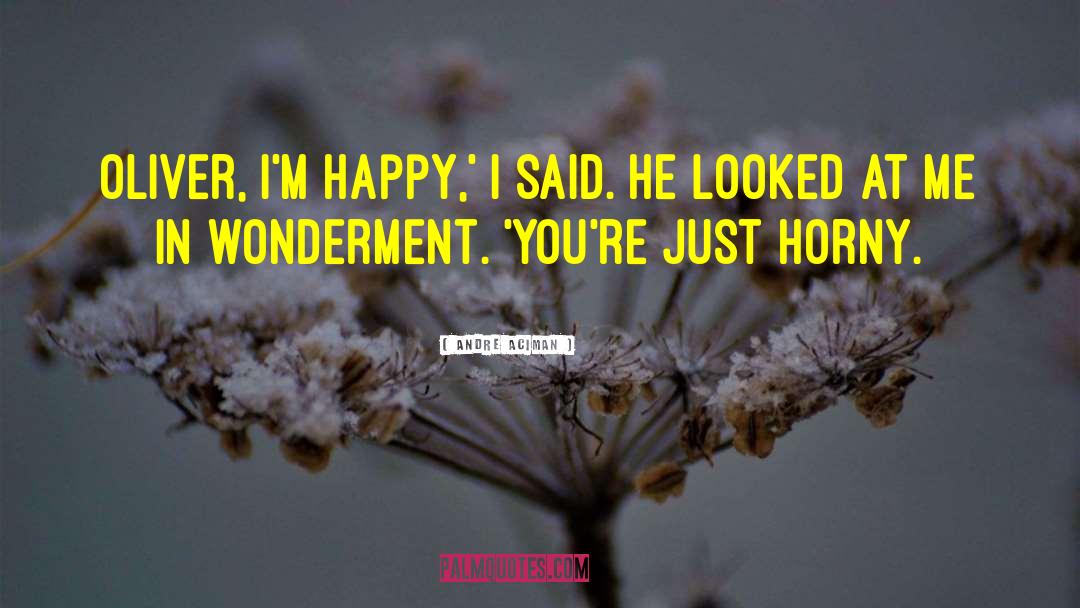 Wonderment quotes by Andre Aciman