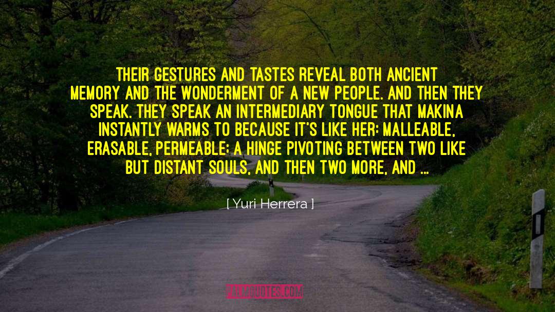 Wonderment quotes by Yuri Herrera