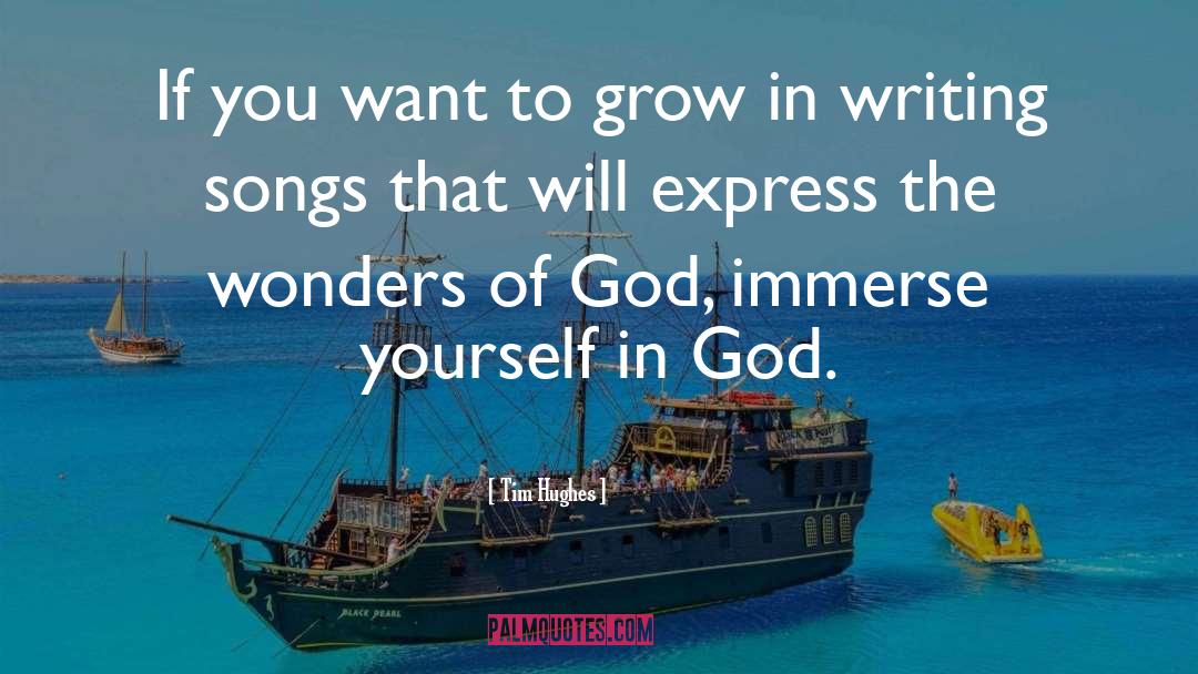 Wonders Of God quotes by Tim Hughes
