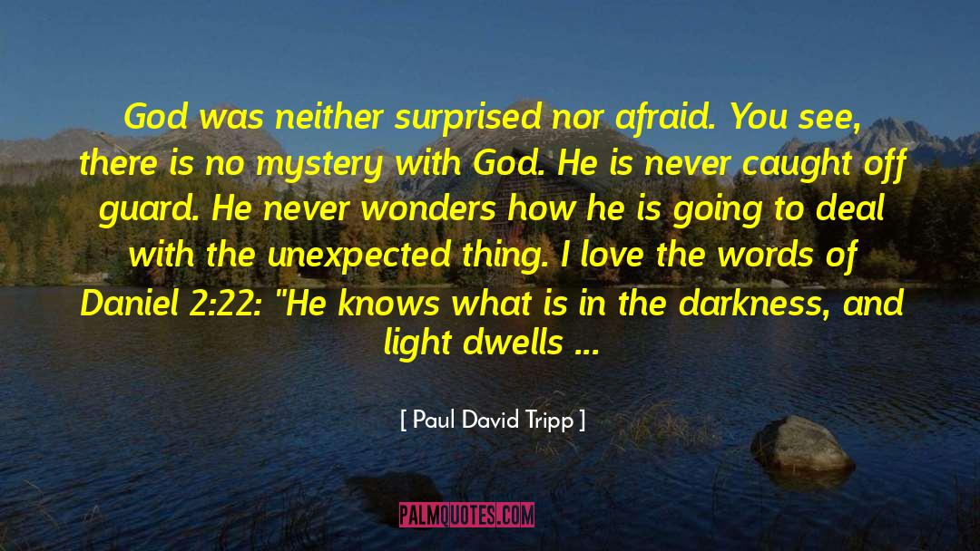 Wonders Of God quotes by Paul David Tripp