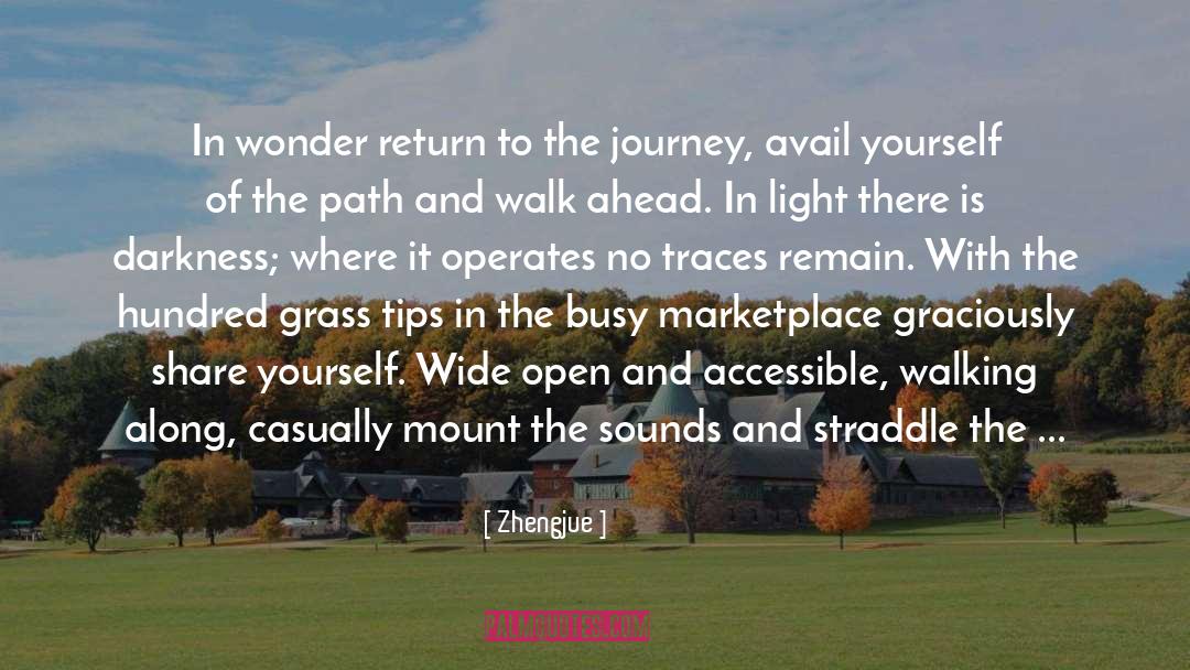 Wondrous Journey quotes by Zhengjue