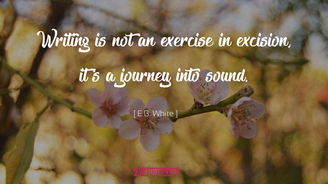 Wondrous Journey quotes by E.B. White