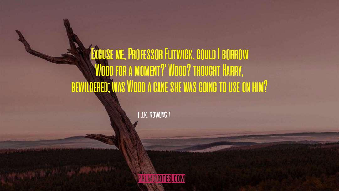 Wood Elves quotes by J.K. Rowling