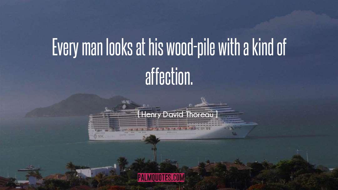 Wood Pile quotes by Henry David Thoreau