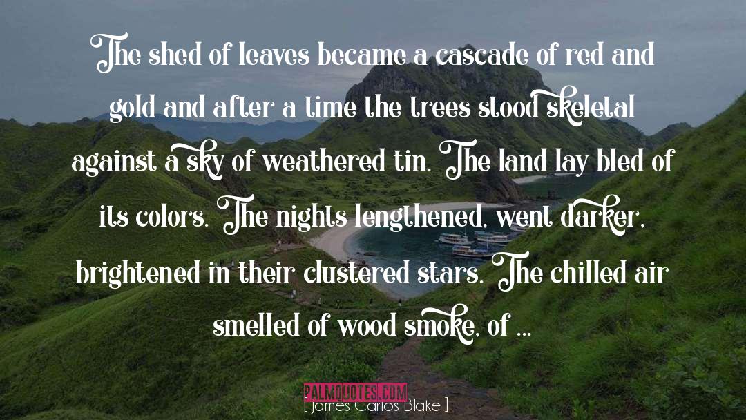 Wood Smoke quotes by James Carlos Blake