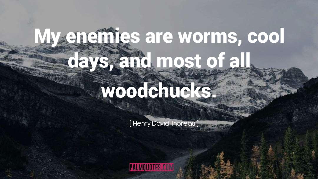 Woodchucks quotes by Henry David Thoreau