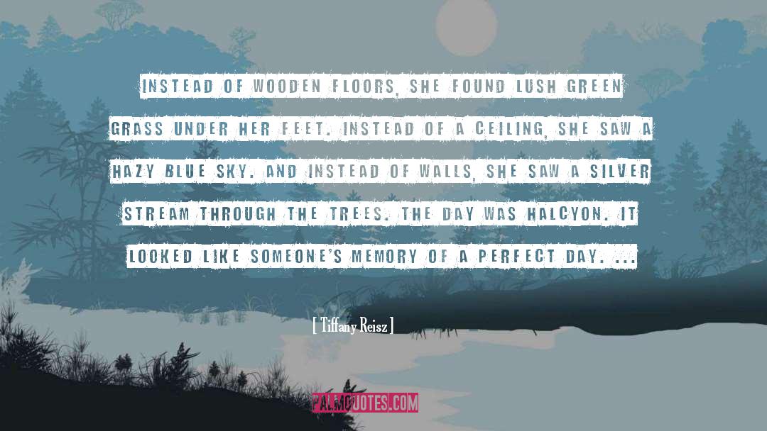Wooden Floors Cloth quotes by Tiffany Reisz