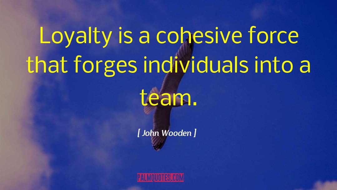 Wooden Horse quotes by John Wooden