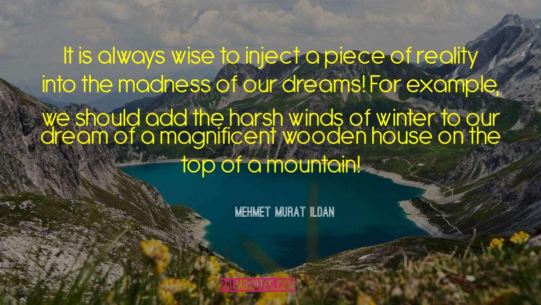 Wooden House quotes by Mehmet Murat Ildan